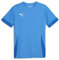 PUMA Mixte Match Teamgoal Jr Maillot De Football, Ignite Blue-puma White-puma Team Royal, 164 EU