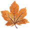 Healifty 12 Pieces Maple Leaves Patches Iron on Patches Embroidered Sewing on AppliquÉ Patch Motif Clothing Hat Sewing Accessories for Men Women Boys Girls Children Yellow