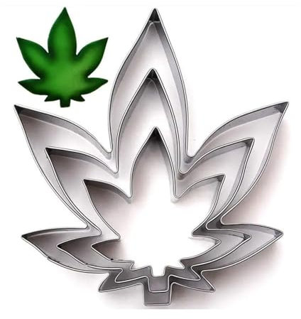 Formine per Biscotti, Stampi Biscotti in Acciaio Inox, Mini Stampini Taglierine di Varie Forme Geometriche di Cuore Stella Fiore per Pasta Torta Pasticceria, (Foglia d'acero)