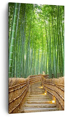 ARTTOR Tableau sur Toile Décoratif 45x80 cm Paysages Forêt - 3979 | Bambou Usine Impression sur Toile Décoration Murale Art Mural Toile Imprimée Chambre Cuisine Salon ARTTOR