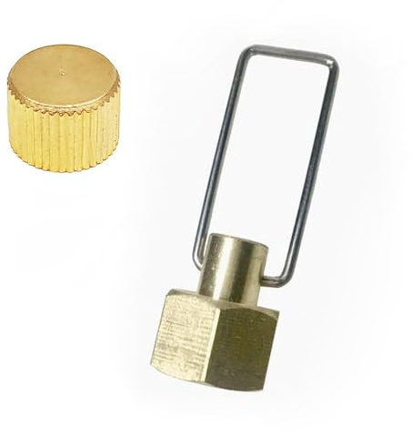 RecDec 2 Pack 1LB Propane Cylinders Cap with Tightening Grip Brass Sealing Screw Threaded Valve Dust Cover Caps for Coleman Propane Cylinders 16 Oz 14.1 oz Refillable Empty Propane Fuel Cylinder Tank