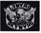 LipaLipaNa Lynyrd Skynyrd Skull Rockband South Aufnäher Besticktes Patch zum Aufbügeln Applique