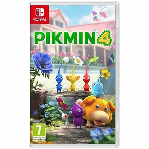 Nintendo