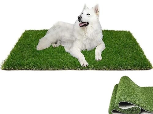 JCSRYD 30 mm Dicker Rasenteppich für Hunde, Realistische Kunstrasen Teppich mit Abflusslöchern für Garten, Rasen, Landschaft, Balkon(20 * 24in/50 * 60cm)