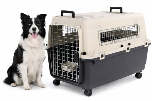 hundebox Auto - transportbox Hund - Flamingo Fomad dunkelgrau - L 57 x 80 x 59,5 cm - robuster Kunststoff - Metalltür - Sicherheitsverschluss - 2 Tragegriffe