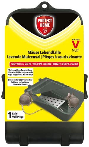 PROTECT HOME Mäuse Lebendfalle Multi zum Fangen von bis zu 4 Mäusen im Haus und Garten, 1 Stück