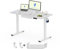 FLEXISPOT ONE PIECE Electric Standing Desk Height Adjustable Sit Stand Desk Heavy Duty Steel for Home Office (120 * 60cm, White Frame+ White Desktop)
