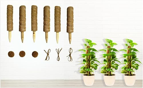 Moosstange für Kletterpflanze, Monstera, Totemstange, Moosstab für Zimmerpflanzen, Zug, Topfpflanze, Aufwärtspflanzenstange mit Gartenbinder / 850