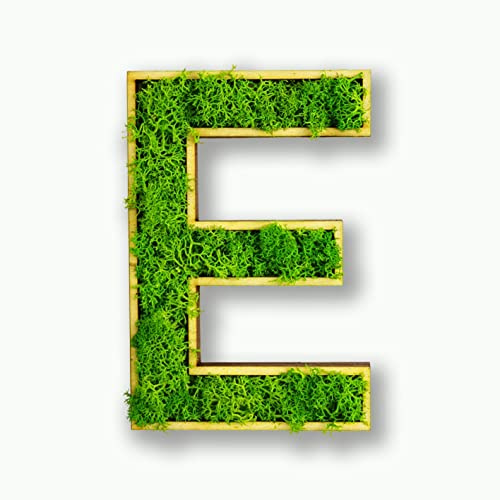Acryltypo Moosly® Holzbuchstabe – E - mit Rahmen aus Holz, Moos Deko Buchstaben Zeichen Symbol Zahl - Holzbuchstabe mit echtem Islandmoos - Wandbilder Wohnzimmer Deko Wand Bilder Wohnzimmer Bilder
