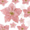 WILLBOND 36 Pièces Fleurs Artificielles de Noël Paillettes Poinsettia - Décorations de Mariage, Ornements de Nouvel an et Sapin de Noël (Or Rose)