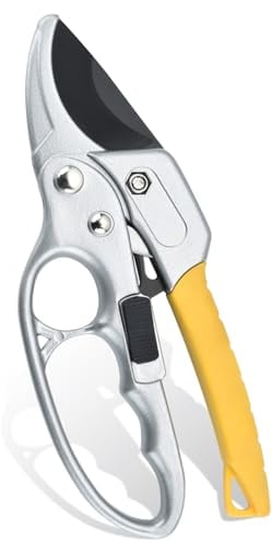 Forbici Cesoie Potatura, Eiflayn Cesoie Potatura a Cricchetto, forbice potatura professionali, forbici giardinaggio, acciaio ad alto tenore di carbonio, per Fiori,Alberi,Piante Vive,Utensili Manuali