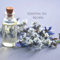 Essential Oil Recipes: Blank for Aromatherapy Blends and Combinations