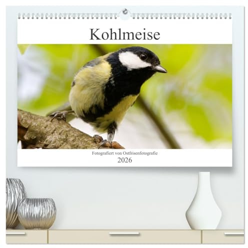 Kohlmeise - Fotografiert von Ostfriesenfotografie (hochwertiger Premium Wandkalender 2026 DIN A2 quer), Kunstdruck in Hochglanz: Durch die Jahreszeiten mit der Kohlmeise (CALVENDO Tiere)