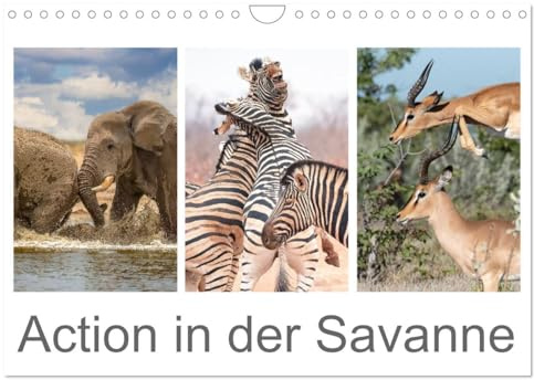 Action in der Savanne (Wandkalender 2026 DIN A4 quer), CALVENDO Monatskalender: Afrikas Tiere in voller Aktion (CALVENDO Tiere)