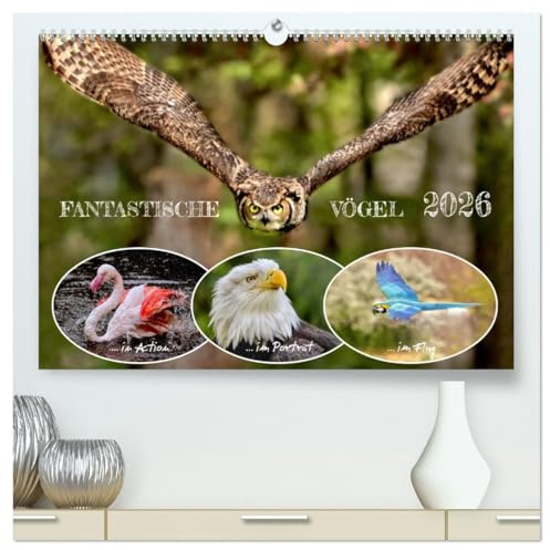 Fantastische Vögel (hochwertiger Premium Wandkalender 2026 DIN A2 quer), Kunstdruck in Hochglanz: Vögel in majestätischen Flugaufnahmen und Porträts. (CALVENDO Tiere)