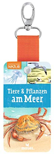 Expedition Natur - Fächer Tiere & Pflanzen am Meer