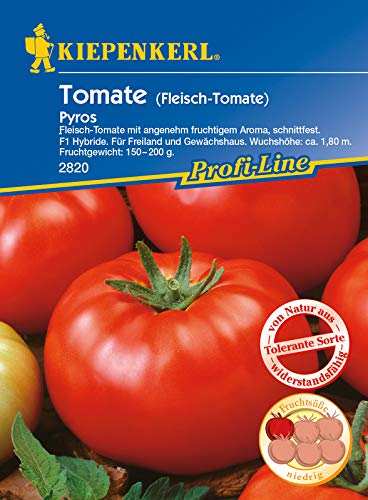 Tomate (Fleischtomate) Pyros F1, angenehm fruchtiges Aroma, schnittfeste F1 Hybride tolerant gegen Kraut- und Braunfäule, auch für Freiland geeignet