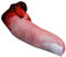 SWEETBIUTI Faux Doigt sanglants Doigts réalistes Halloween Accessoire de Finger coupé Parties de Corps en Mousse réaliste Halloween Doigts pour Haine hantée, théâtre, astuces de fêtes