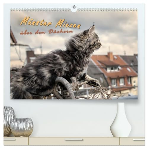 Münster Miezen - über den Dächern (hochwertiger Premium Wandkalender 2026 DIN A2 quer), Kunstdruck in Hochglanz: Norwegische Waldkatzen wachen über Münster-Höhen! (CALVENDO Tiere)