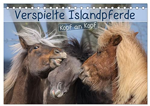 Verspielte Islandpferde Kopf an Kopf (Tischkalender 2026 DIN A5 quer), CALVENDO Monatskalender: Portraits von Islandpferden im freien Spiel in der Herde (CALVENDO Tiere)