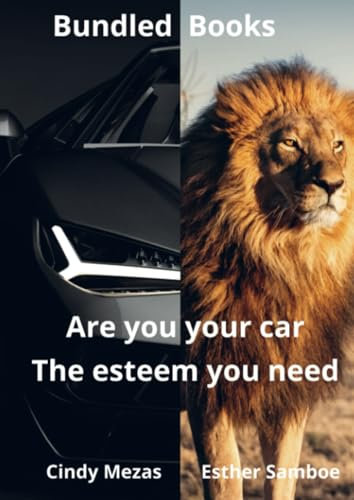 Bundled Books: Are You Your Car? | The Esteem You Need: DE
