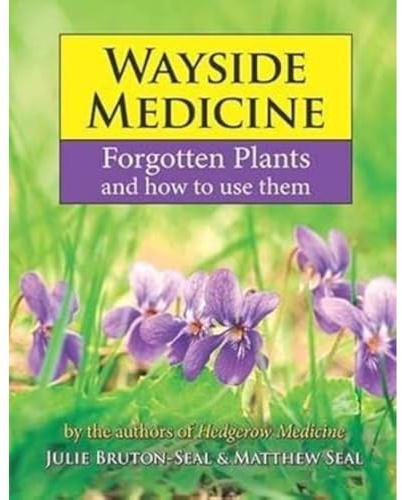 Wayside Medicine: Forgotten Plants to Make Your Own Herbal Remedies