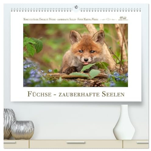 Füchse - zauberhafte Seelen (hochwertiger Premium Wandkalender 2026 DIN A2 quer), Kunstdruck in Hochglanz: Füchse - beeindruckende Bilder begleiten Sie durch das Jahr (CALVENDO Tiere)