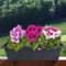 Blumenkasten anthrazit 59cm mit Bewässerung Balkonkasten Pflanzkasten Blumentopf