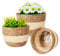 ADEPTNA 3pcs Wicker Plant Basket with Liner – 3 Sizes Seagrass Woven Natural Planter Baskets Home Decorative Plant Pot for Flowers Plants Trees Baskets for Indoor Outdoor Home Decoration