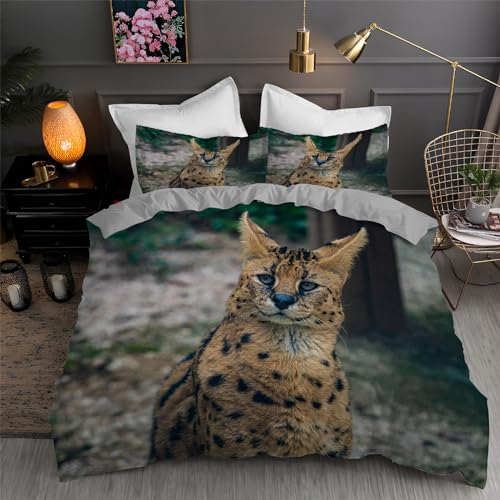 Bettwäsche 200x200 Zibet Katze Bettwäsche Set 3D Bedruckte Bettbezug Set mit ReißVerschluss, Weich Flauschige Hypoallergen Bettbezug + 2 Kissenbezug
