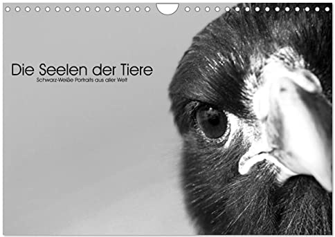 Die Seelen der wilden Tiere (Wandkalender 2026 DIN A4 quer), CALVENDO Monatskalender: Wildtiere ganz nah - in einfühlsamen schwarz-weiß Portraits (CALVENDO Tiere)