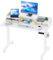 BEXEVUE Elektrischer Schreibtisch Höhenverstellbar - 120x60cm Stehschreibtisch mit 2 Schubladen Monitorständer, 3 Memory Funktion Anti-Kollisions Technologie, Computertisch Ergonomischer Sitz-Stehpult