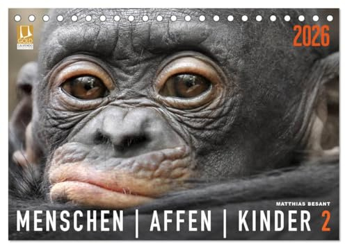 MENSCHENAFFENKINDER 2 (Tischkalender 2026 DIN A5 quer), CALVENDO Monatskalender: Neue Porträts von Primatenkindern (CALVENDO Tiere)