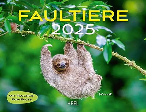 Faultiere Kalender 2025 Wandkalender: Tierkalender mit den charmanten Namen. Eintragkalender 2025