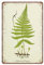 DAIERCY Lustiges Vintage-Schild Farn Botanische Pflanze Metall Blechschilder für Küche Garten Garage Badezimmer Wanddekoration 20,3 x 30,5 cm