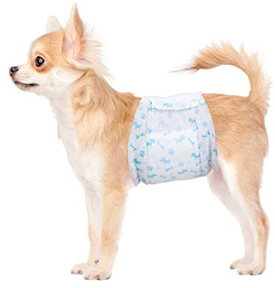 Flying Paws Rüdenwindel,22 Stück M Einweg-Hundewindeln für Rüden,Super Saugfähig Hundewindeln für mittlere Rüden,Passform 45-63 cm