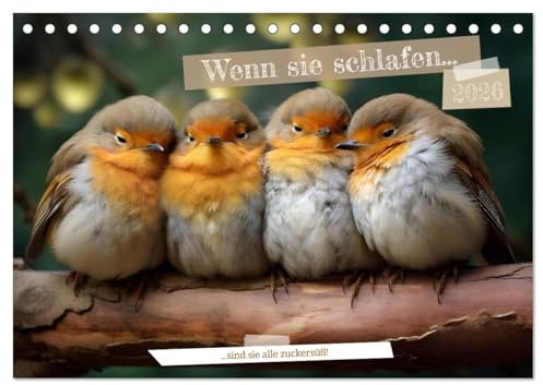 Wenn sie schlafen... (Tischkalender 2026 DIN A5 quer), CALVENDO Monatskalender: Schlafende Tiere soll man nicht wecken (CALVENDO Tiere)