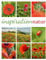 Inspiration Natur Kalender 2025, Wandkalender im Hochformat (50x66 cm) - Inspirations- / Naturkalender mit Bildmosaik im Triplet-Stil