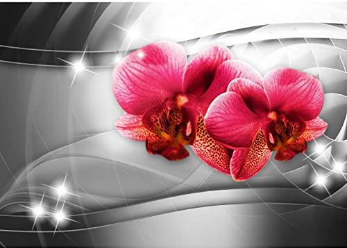 Runa Art Fototapete Blumen Orchidee 3d Modern Vlies Wohnzimmer Schlafzimmer - Made in Germany - 308 x 220 cm Schwarz Rot 9321010c
