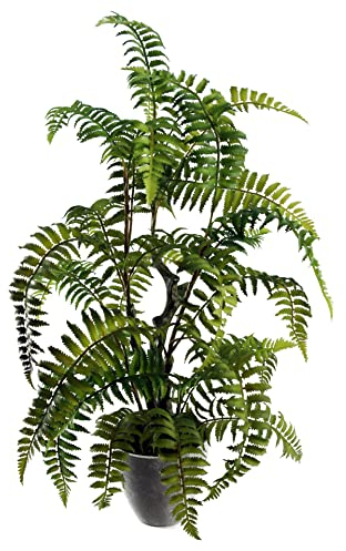 Leaf Artificial Realistic Natural Look Moss Fern in Pot, 70 cm