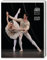 Royal Ballet – Königliches Ballett – Agenda 2025: Original Carousel Tischkalender [Mehrsprachig] [Kalender] (Agenda-Ringbuch)