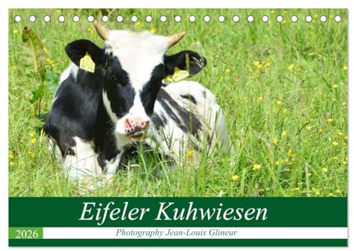 Eifeler Kuhwiesen (Tischkalender 2026 DIN A5 quer), CALVENDO Monatskalender: Glückliche Kühe, Kälber und Rinder (CALVENDO Tiere)