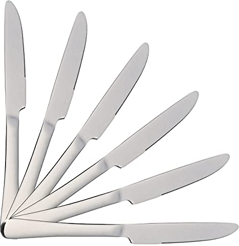 H HANSEL HOME Obstmesser, 19,5 x 1,95 cm, hochglanzpolierter Edelstahl 18/0