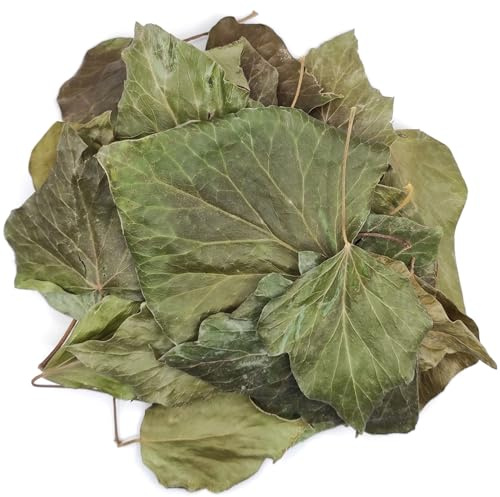 Getrocknete Englischer Efeu Blätter 85g - 1,95Kg Hedera Helix (460 gramm)