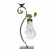 Calnegaris Desktop Glas Pflanzgefäß Hydrokultur Vase, Pflanzgefäß Glühbirne Vase mit Halter, Kreative Vogel Lant Terrarium Ständer für Wohnkultur für Blumen, Sukkulenten, Vermehrung