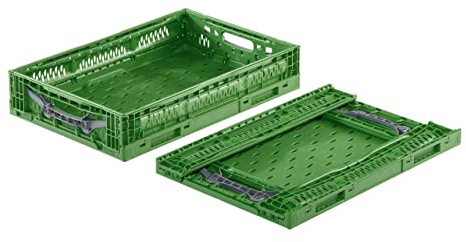 Obst- und Gemüsekiste Klappbox 600x400x120 mm | Erntekiste/Box für Obst und Gemüse | Obstkiste | Apfelkiste | klappbare Kiste aus Kunststoff für Einkäufe (1)
