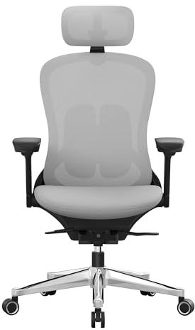 SONGMICS Bürostuhl, Schreibtischstuhl, ergonomisch, verstellbar, neigbare Rückenlehne, nach vorne oder hinten Verstellbarer Sitz, bis 150 kg belastbar, Taubengrau OBN065G01