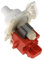 POMPE DE VIDANGE EBS2556 pour LAVE VAISSELLE SIEMENS - 2481952