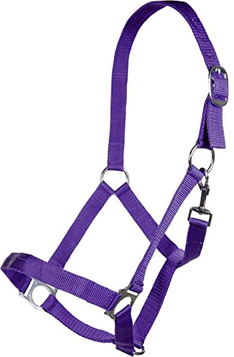 HKM Halfter -Brisbane-, lila, Pony
