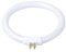 PFHSKLCWY Lampadina Tubi anulari T4 Anti-quattro pin 11W 110V e 220V Lente d'ingrandimento Luce G10q Piccole lampade da scrivania Lampadina Lampada ad anello fluorescente Bianca Illuminazione(12W)